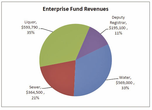 MLCC 2020 Levy & Budget FINAL Enterprise Fund Rev PIE.jpg